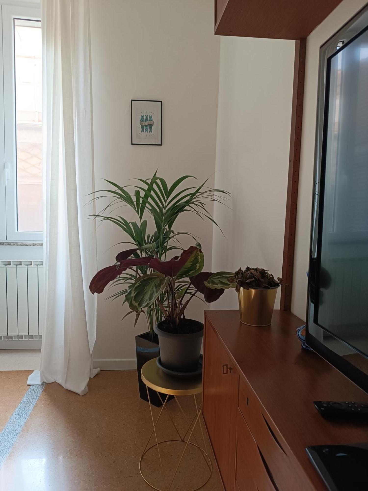 Apartamento Design House Monti Roma
